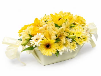 Flower Candy yellow