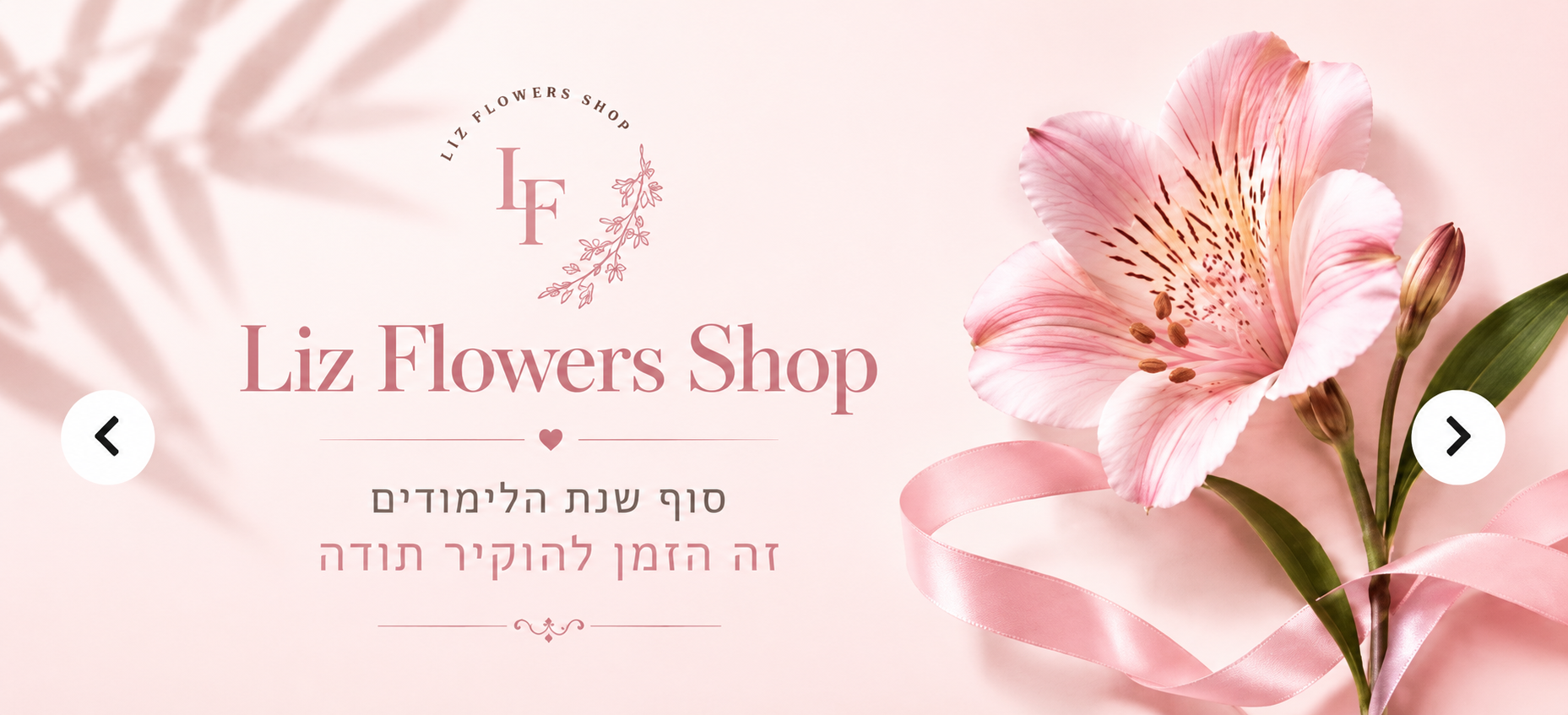 באנר דף הבית