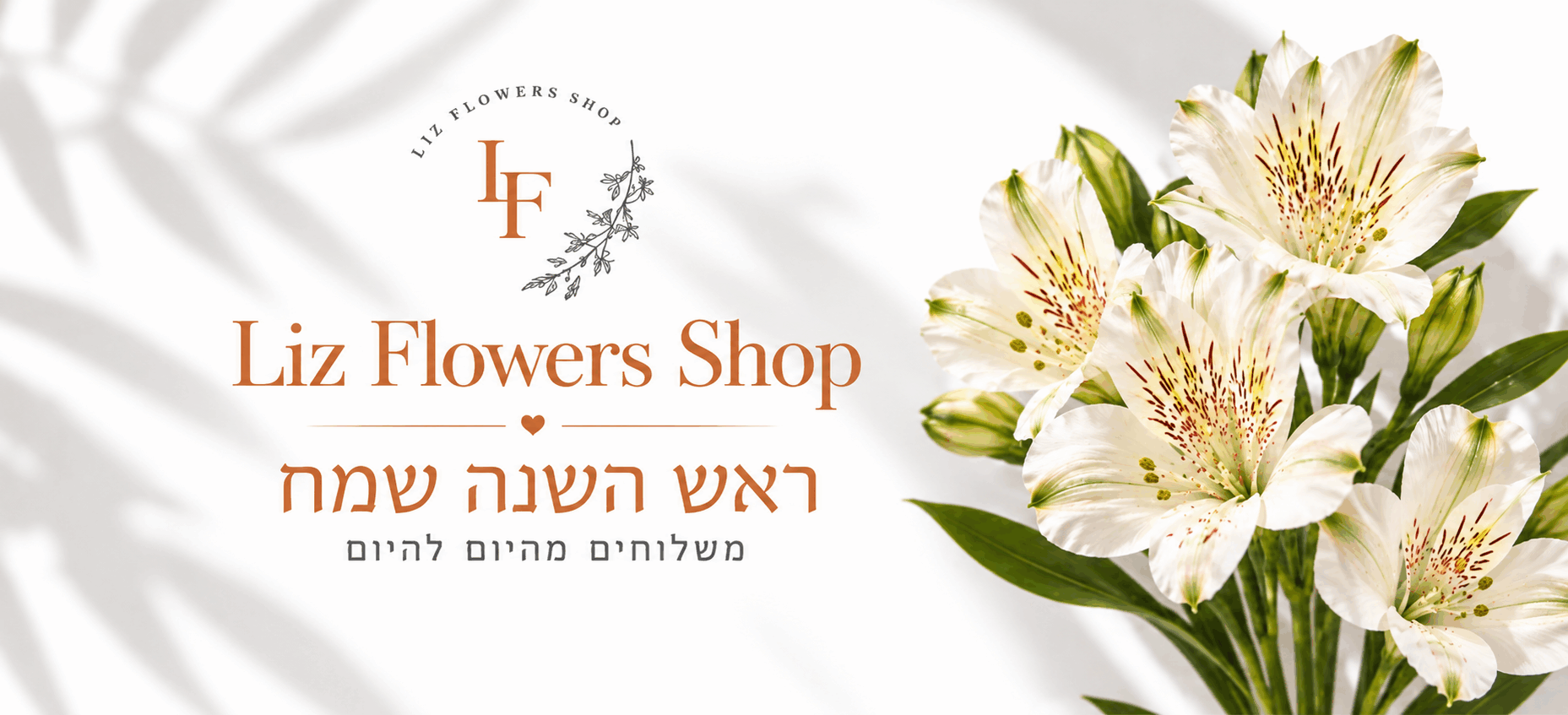 באנר דף הבית