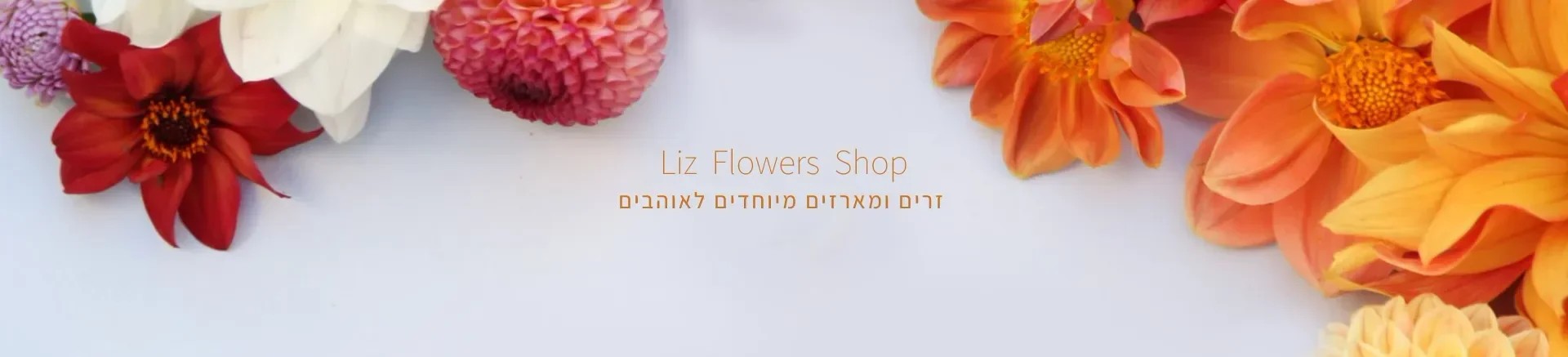 באנר דף הבית
